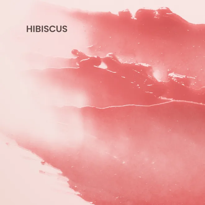 Бальзам для губ с оттенком от Burt's Bees, Гибискус — изображение 2